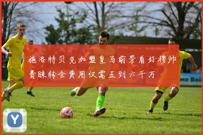 施洛特贝克加盟皇马前景看好穆帅青睐转会费用仅需五到六千万